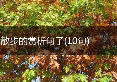 散步的赏析句子(10句)