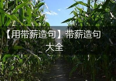 【用带薪造句】带薪造句大全