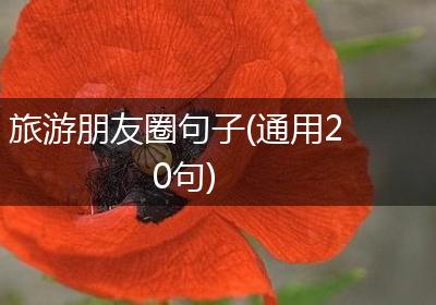 旅游朋友圈句子(通用20句)