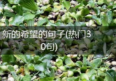 新的希望的句子(热门30句)