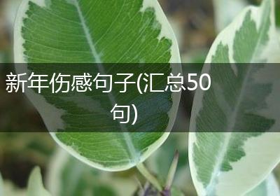 新年伤感句子(汇总50句)
