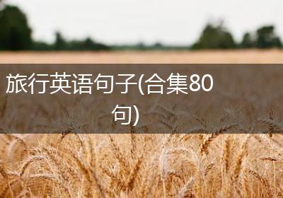 旅行英语句子(合集80句)