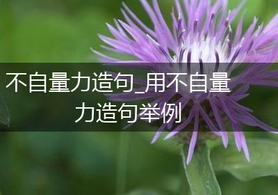 不自量力造句_用不自量力造句举例