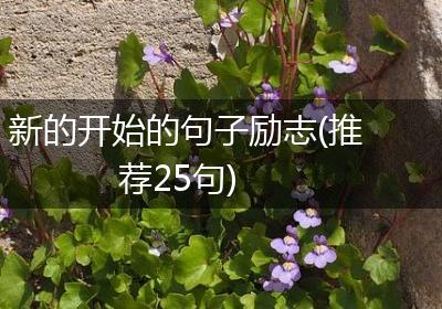 新的开始的句子励志(推荐25句)