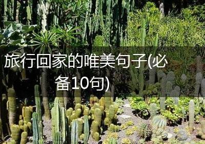 旅行回家的唯美句子(必备10句)