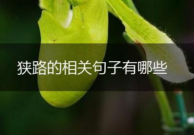 狭路的相关句子有哪些
