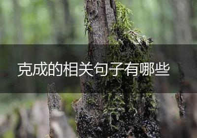 克成的相关句子有哪些
