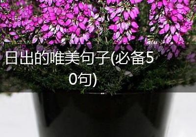 日出的唯美句子(必备50句)