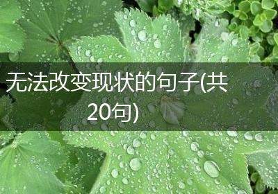 无法改变现状的句子(共20句)