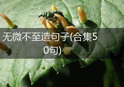 无微不至造句子(合集50句)