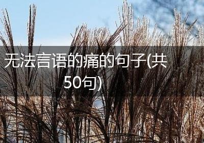 无法言语的痛的句子(共50句)