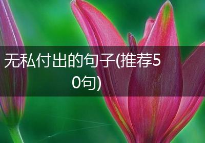 无私付出的句子(推荐50句)