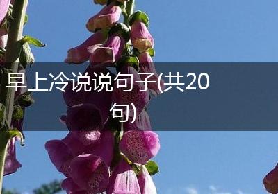 早上冷说说句子(共20句)