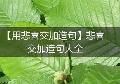 【用悲喜交加造句】悲喜交加造句大全