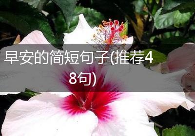 早安的简短句子(推荐48句)