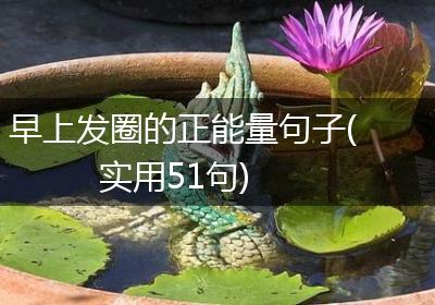 早上发圈的正能量句子(实用51句)