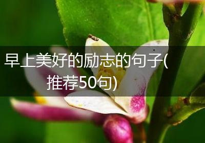 早上美好的励志的句子(推荐50句)