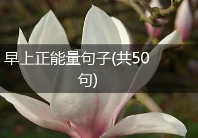 早上正能量句子(共50句)