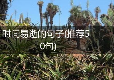 时间易逝的句子(推荐50句)
