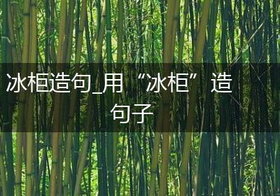 冰柜造句_用“冰柜”造句子