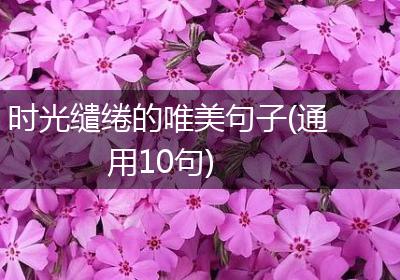 时光缱绻的唯美句子(通用10句)