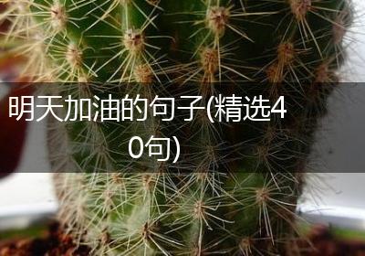 明天加油的句子(精选40句)