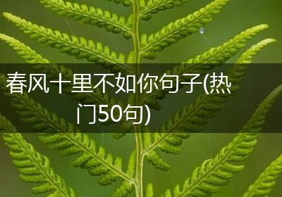 春风十里不如你句子(热门50句)