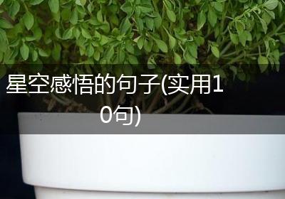 星空感悟的句子(实用10句)