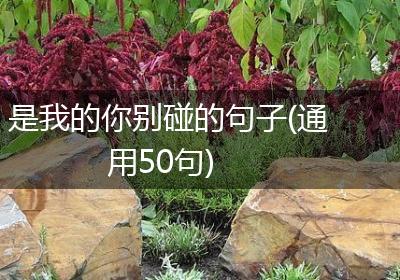 是我的你别碰的句子(通用50句)