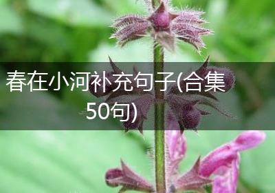 春在小河补充句子(合集50句)