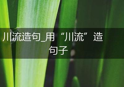 川流造句_用“川流”造句子