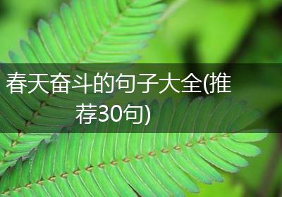 春天奋斗的句子大全(推荐30句)