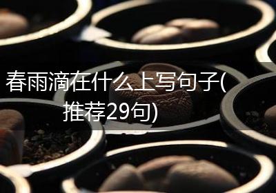 春雨滴在什么上写句子(推荐29句)