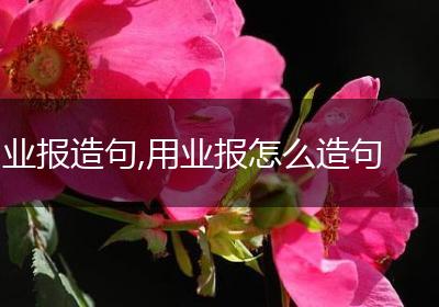 业报造句,用业报怎么造句