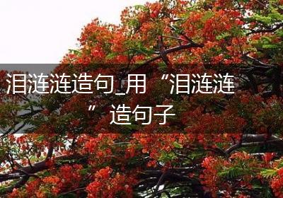 泪涟涟造句_用“泪涟涟”造句子