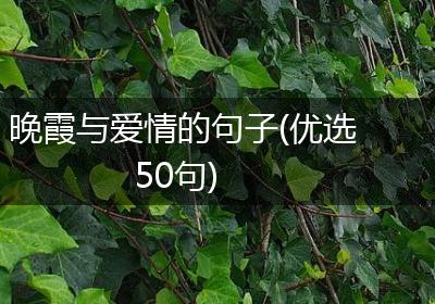 晚霞与爱情的句子(优选50句)