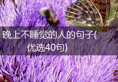 晚上不睡觉的人的句子(优选40句)