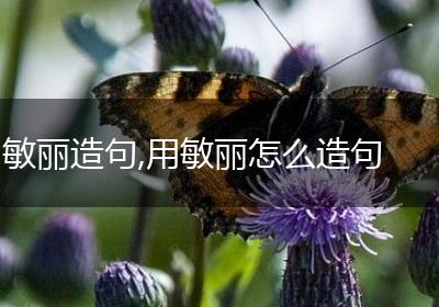 敏丽造句,用敏丽怎么造句