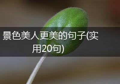 景色美人更美的句子(实用20句)