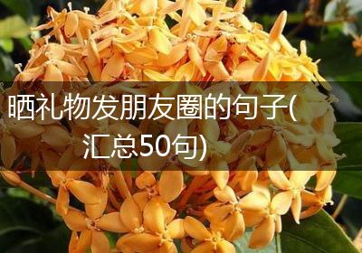 晒礼物发朋友圈的句子(汇总50句)