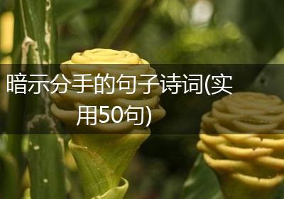 暗示分手的句子诗词(实用50句)