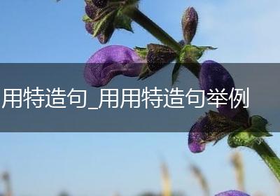 用特造句_用用特造句举例