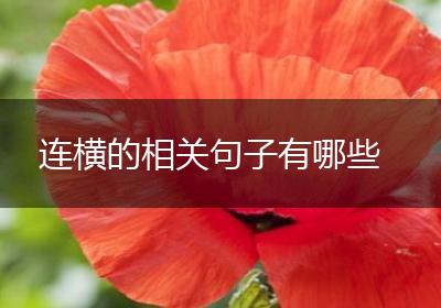 连横的相关句子有哪些