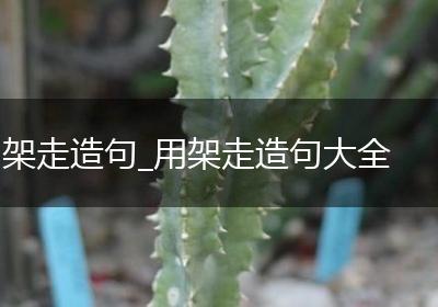 架走造句_用架走造句大全