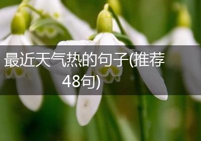 最近天气热的句子(推荐48句)