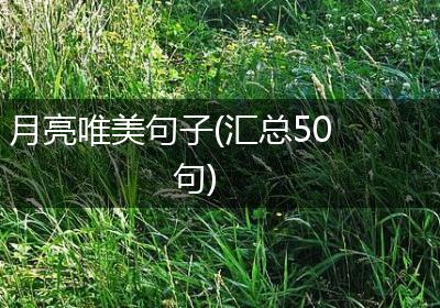 月亮唯美句子(汇总50句)