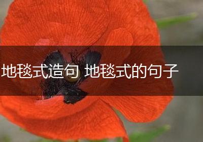 地毯式造句 地毯式的句子