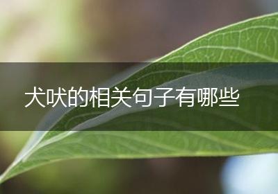 犬吠的相关句子有哪些