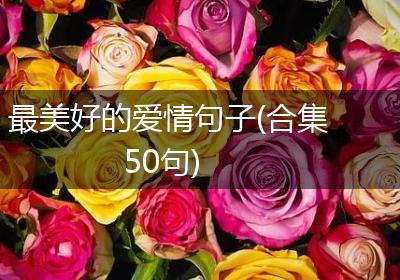 最美好的爱情句子(合集50句)