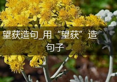 望获造句_用“望获”造句子